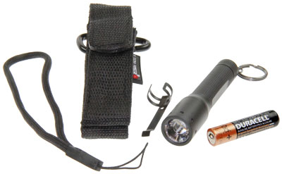 16958_0 Zweibrüder Led Lenser P3R (501048) Taschenlampe