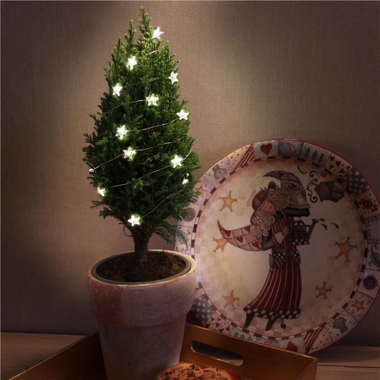 27237_1zyuzLUGN0yGxV