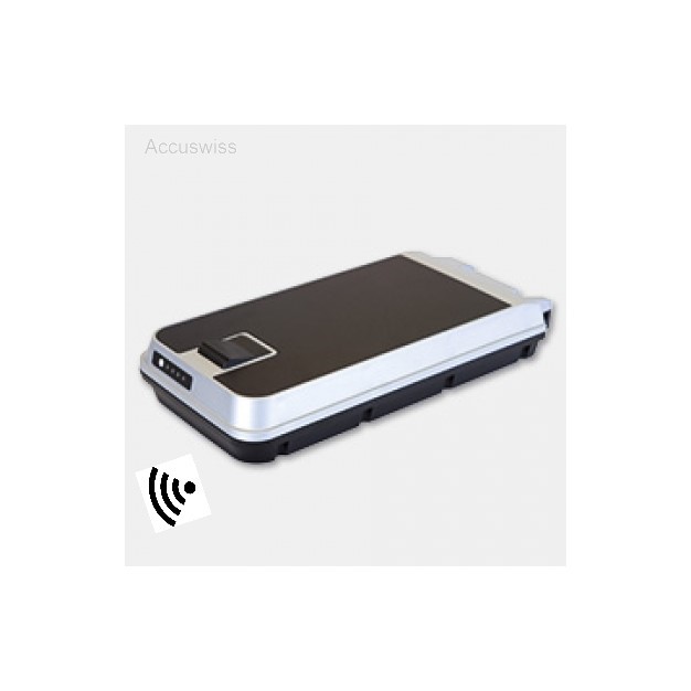 21610_0_2_1 Gepäckträger GP-V6 mit ANT Treiber GEB 12 Akku 36V 446Wh