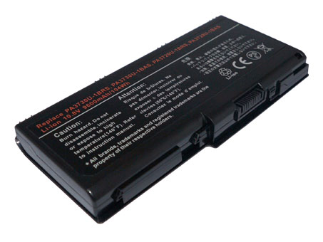 10923_0kpPMxTntpxN6U Akku passend für Toshiba Qosmio X500, X505, Satellite P505D 8800mAh