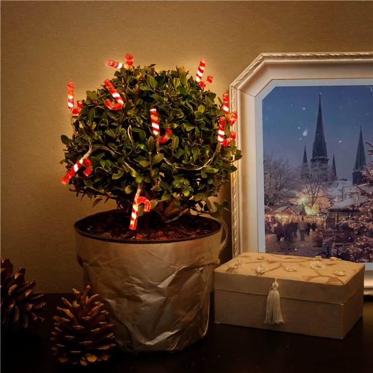 27235_2CCKNn3qkAb22C