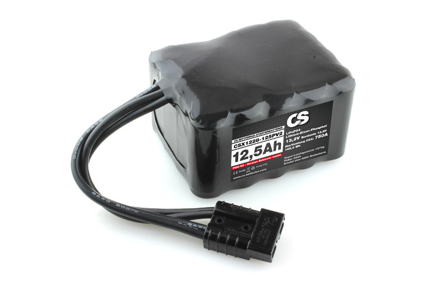 LiFePO4 Motorrad Starter Batterie PRO-V2 12V 12.5Ah Harley