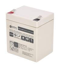 26091_0nhGP33mDteClY Battery-Direct 12V 5.5Ah Akku, Hochstrom, AGM Bleiakku, PolT2 Faston 250 (6,3mm)